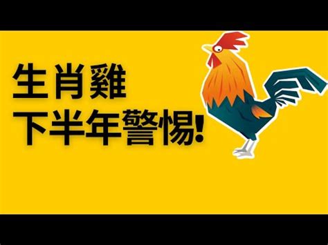 屬雞座向|【屬雞買房座向】想知道「屬雞買房」最佳坐向和樓層嗎？快進來。